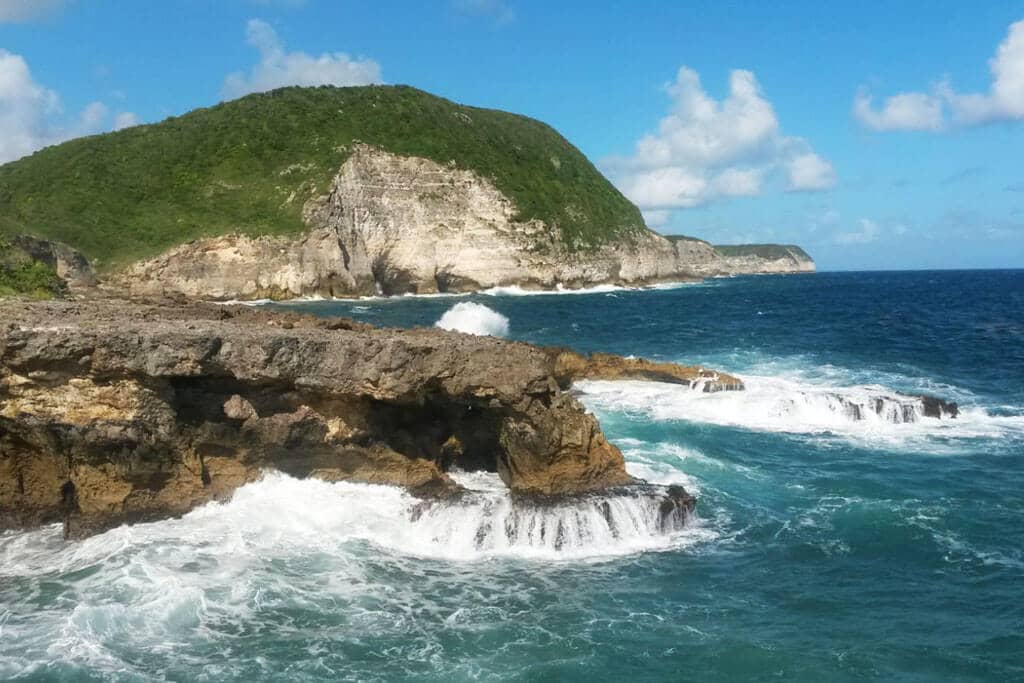 Rocky coast pounded by waves, below a wooded hill with white cliffs