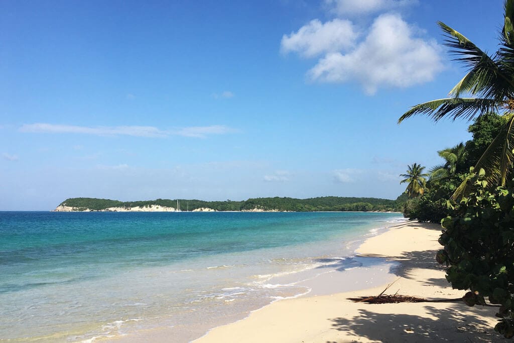 Long white-sand beach lined with coconut palms, turquoise water and a wooded headland on the horizon